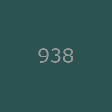 938