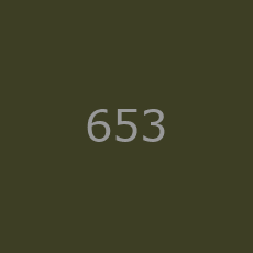 653
